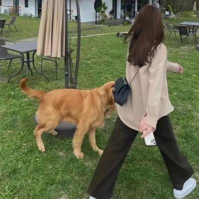 加菲猫和他的朋友们第五季